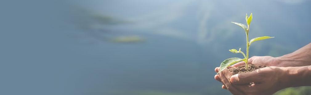 Ȧ