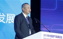 2019���й�ȼ����չ��̳ʢ��Ļ