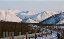 δ���й���Ȼ���г���չ����